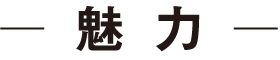 魅 力