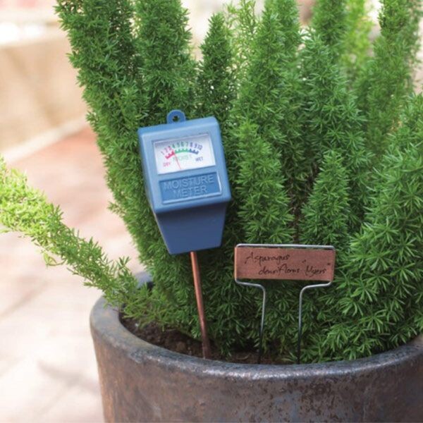 『心に水やり』 mt-0033712-2tk7.jpg