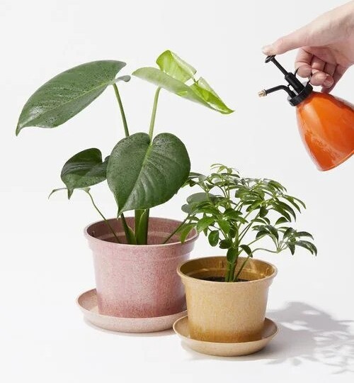 軽くてエコな植木鉢🪴｜ジョージズ｜ショップニュース | 【トリエ京王