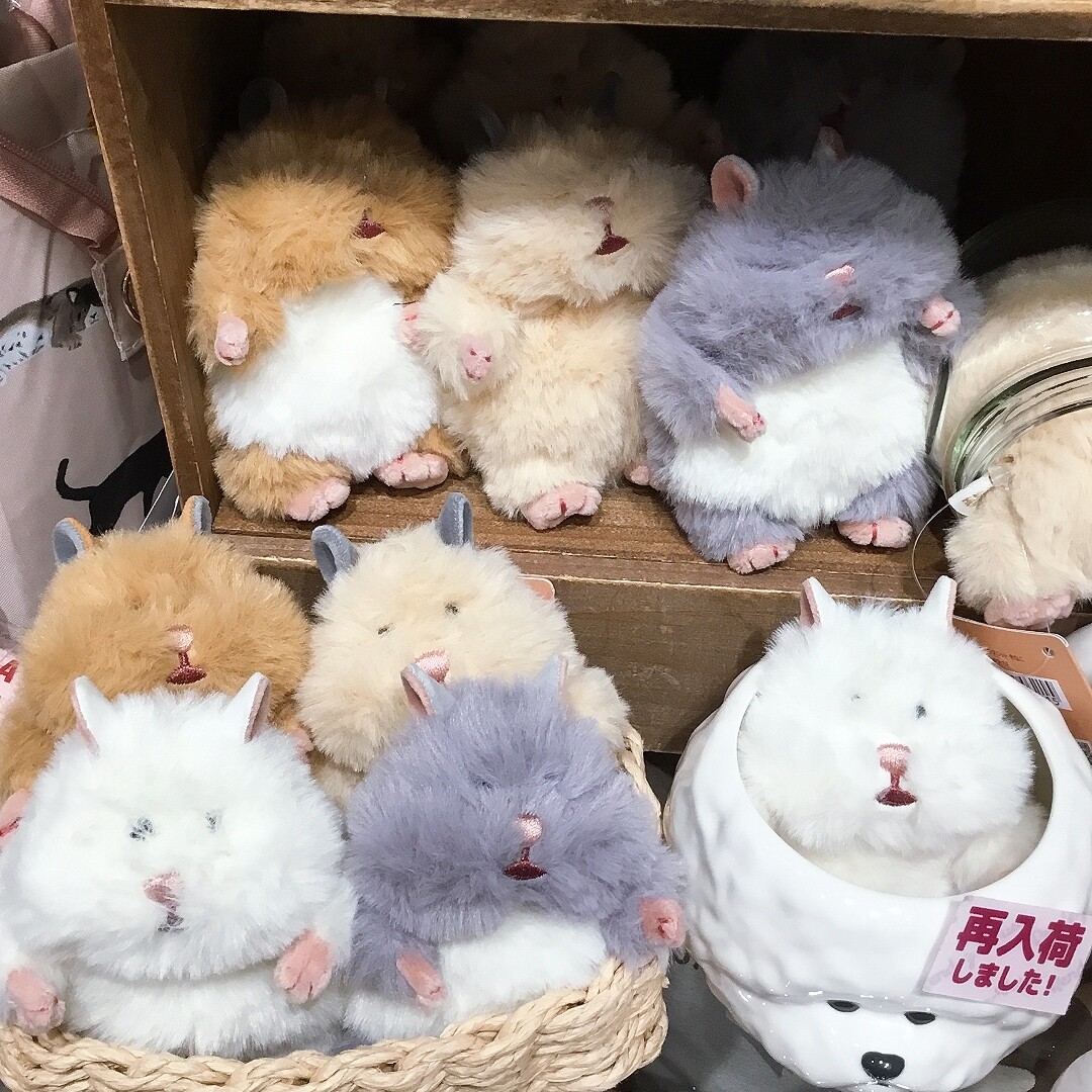 寿♡mama　はむにぎり はむにぎり再入荷しております🐹｜グッドネス｜ショップニュース