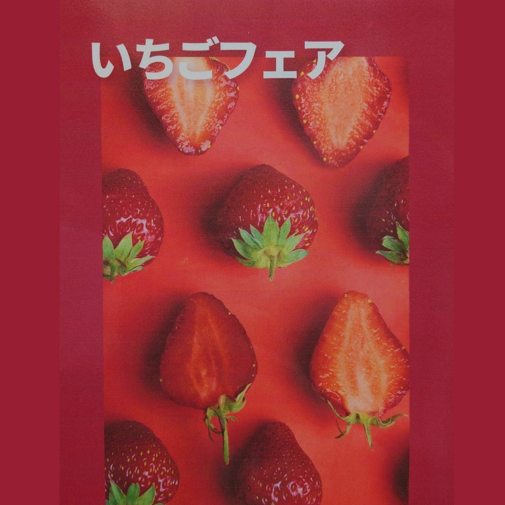 いちご様 Mirai Fruits 新未来果実 いちご 通販 | 食品 | アカチャンホンポ