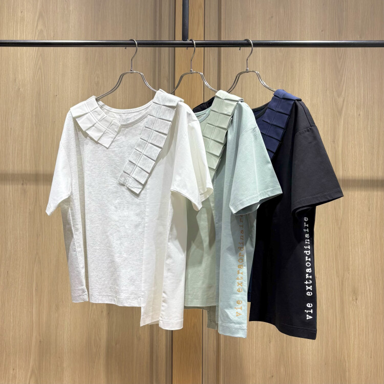 並外れた人生ピロピロT