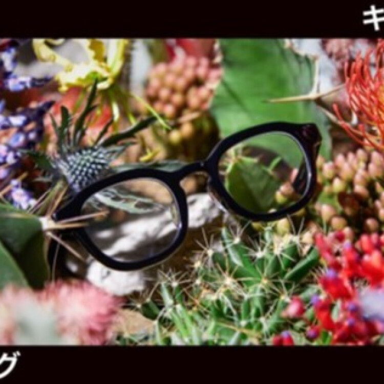 店舗先行でスタート！JINS 無敵コーティングが特別価格！