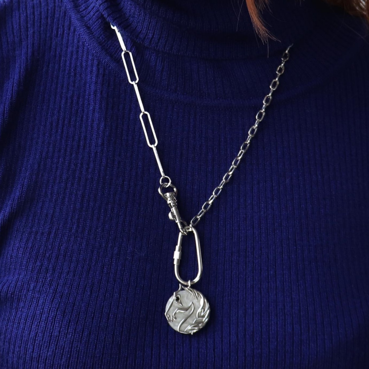 🐎ホースプレートカラビナネックレス🐎