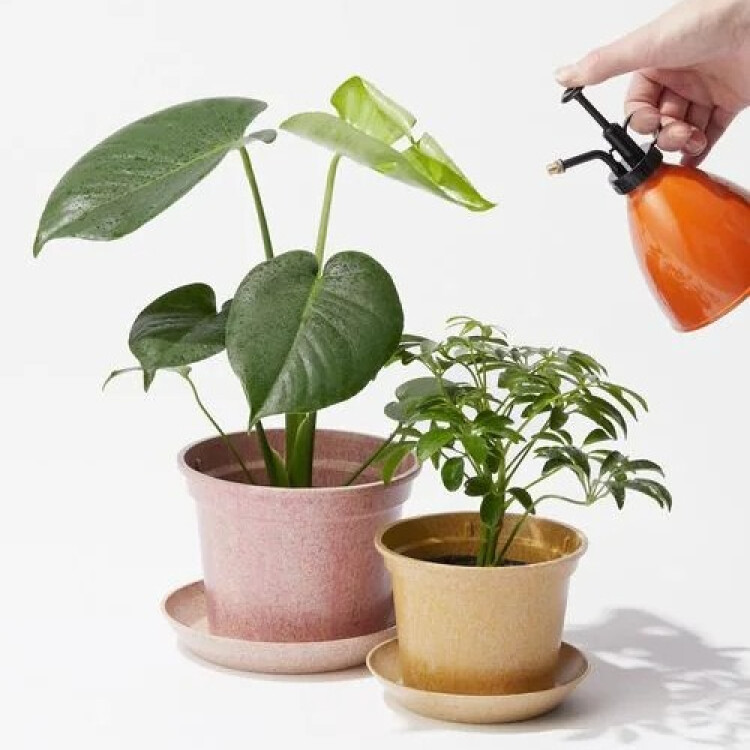 軽くてエコな植木鉢🪴