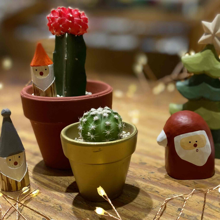 カラフルなポットの植物たち