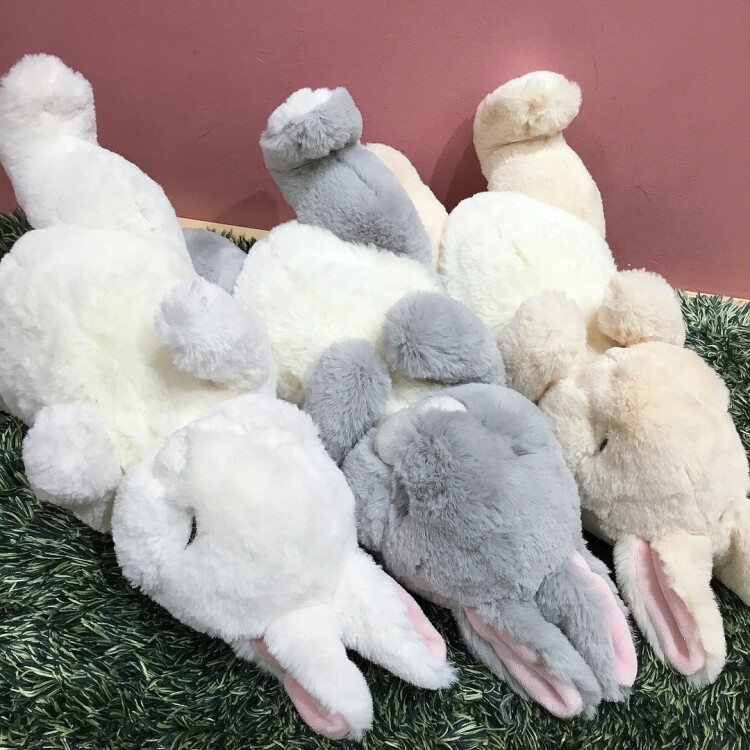 すやすやひざうさぎ入荷しております🐰