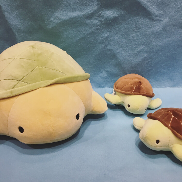 🐢亀ぬい🐢
