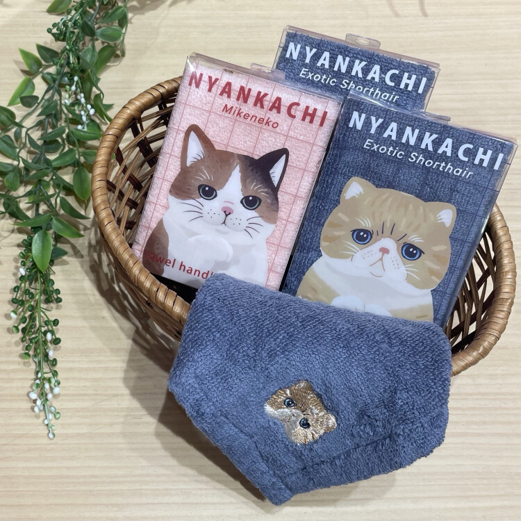 NYANKACHIのご紹介です🌟