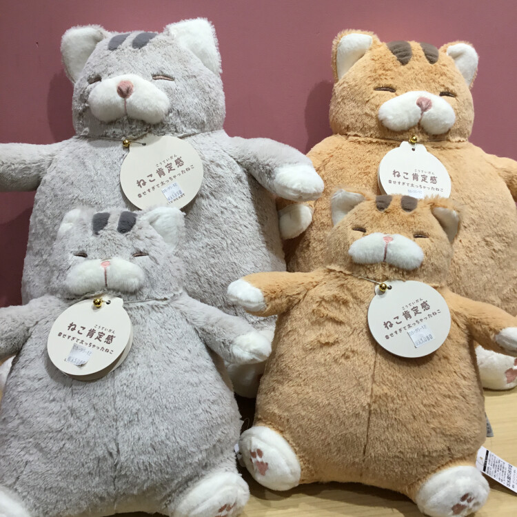 🐈NEW🐈ねこ肯定感
