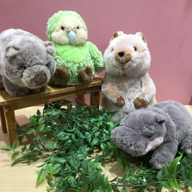 🦫NEW🐾動物ぬいぐるみ入荷✨