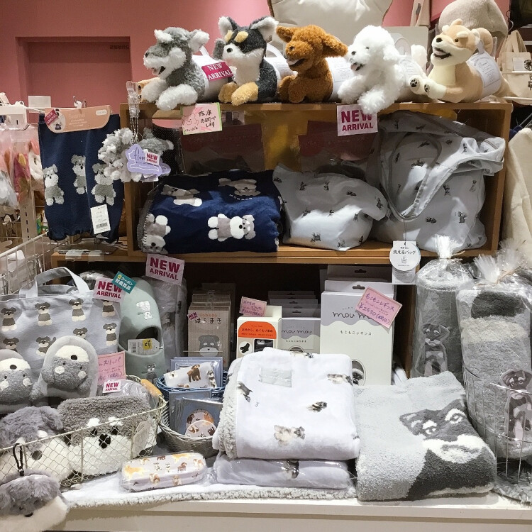 冬物続々と入荷しております⛄️
