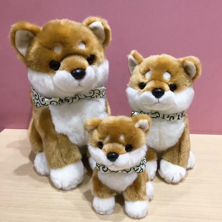 可愛いまめしばぬいぐるみ入荷しました✨