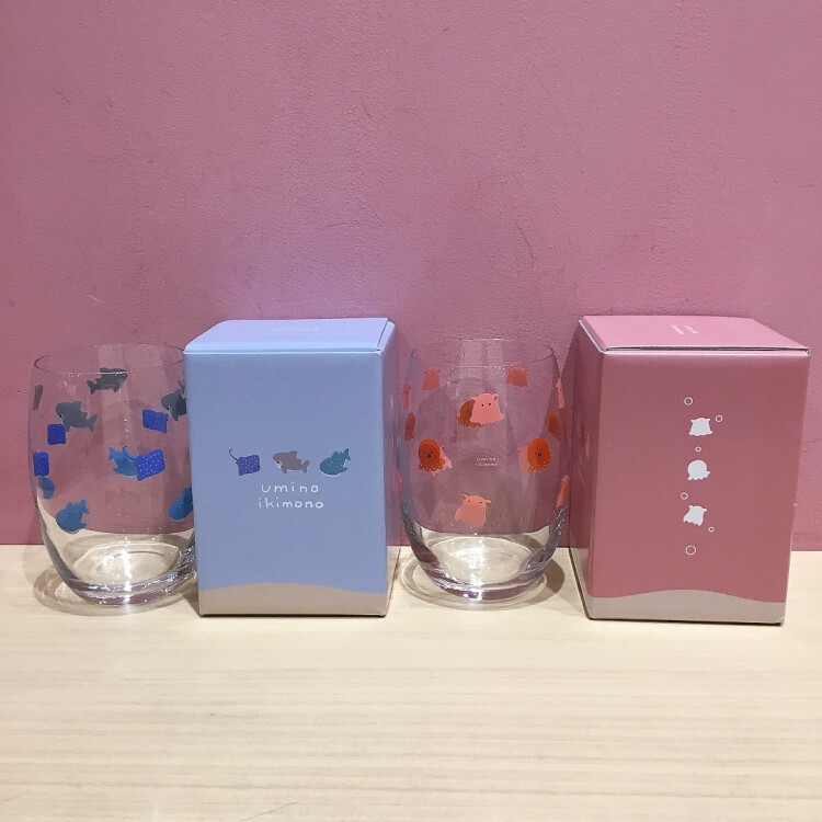 海の生き物グラス入荷しました✨