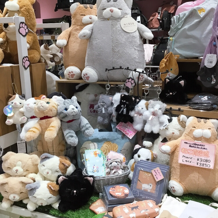 🐈猫コーナー展開中🐈