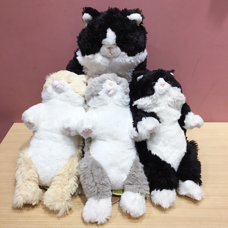 ひざねこすやすやSサイズが入荷しました✨