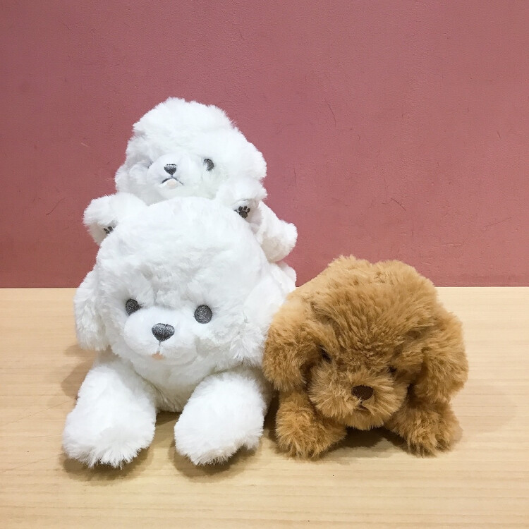 大人気のくたっとびより再入荷しました✨