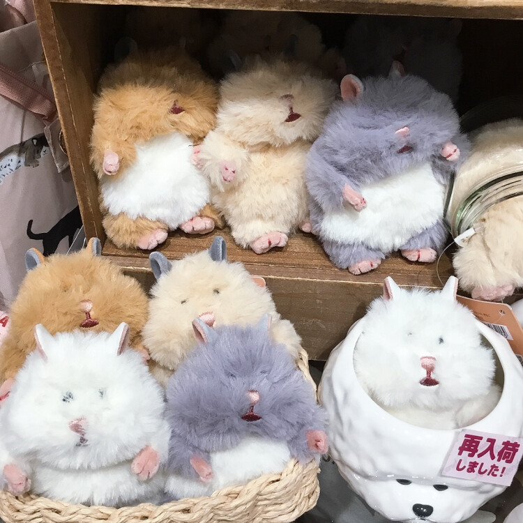 はむにぎり再入荷しております🐹