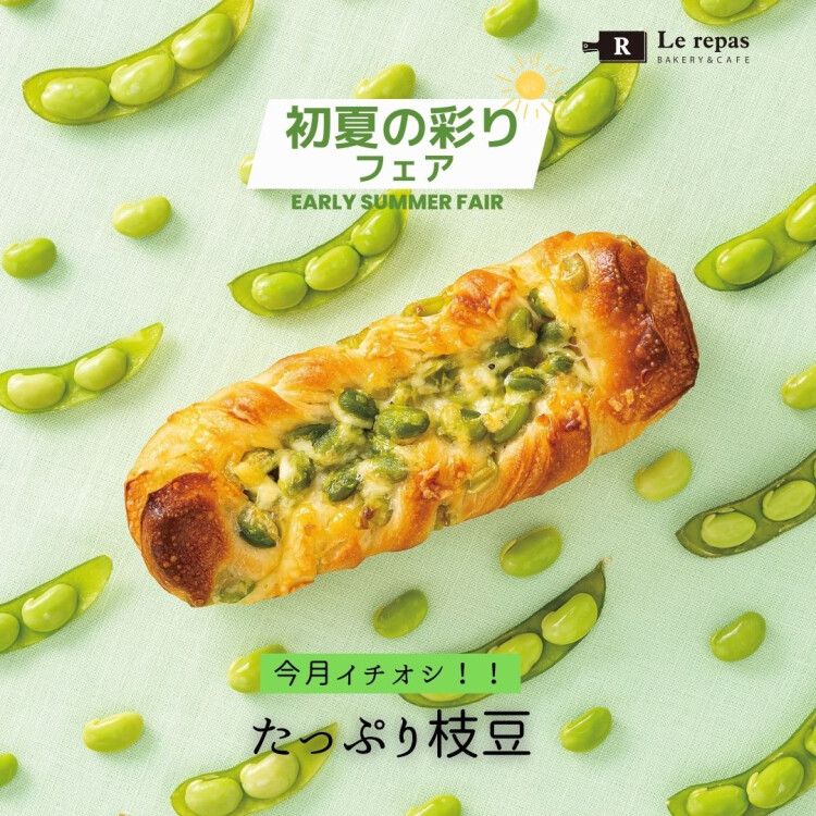 初夏の彩りフェアを開催中！！！