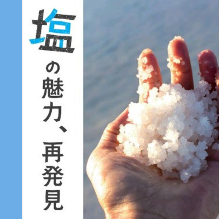『塩』商品特集！🌊