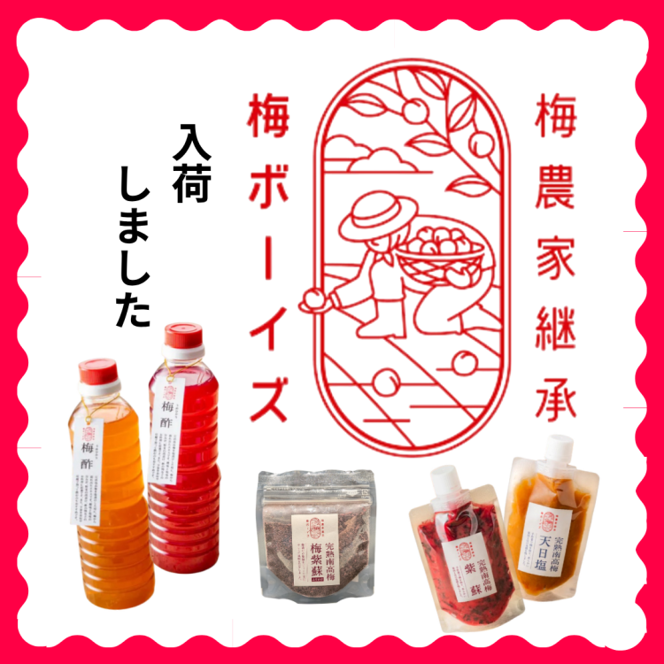 「梅ボーイズ」入荷しました！