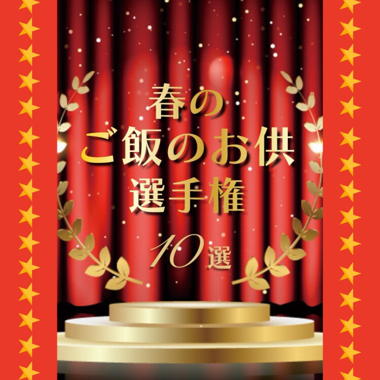 🍚春のごはんのお供10選🍚