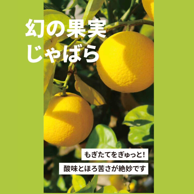 幻の果実🍊じゃばら✨