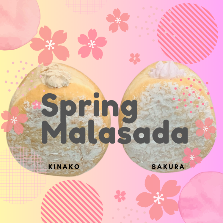 🌸春限定 マラサダ さくらときなこ🌸