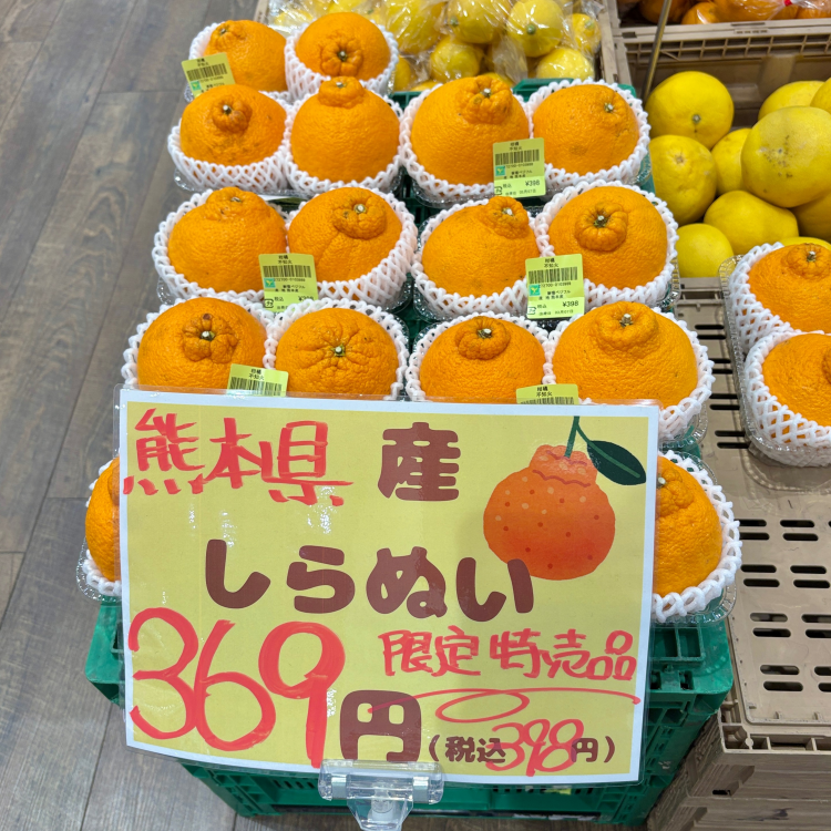 3/8 本日のおすすめ商品