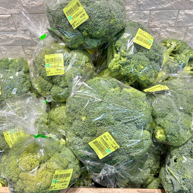 3/18 おすすめの商品